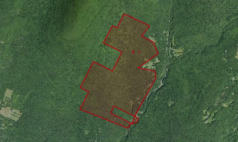 Mink Hollow