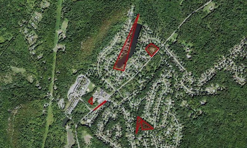 Village of S Blooming Grove Land