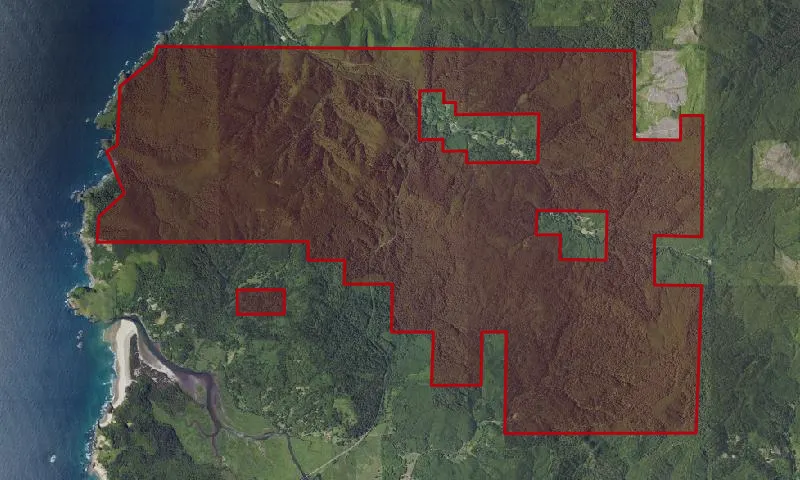 Cascade Head Experimental Forest