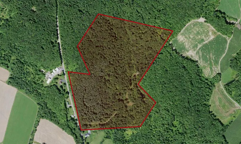 Village Of Constableville Land