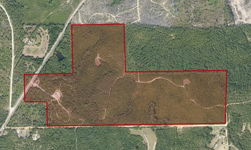 Macon State Forest