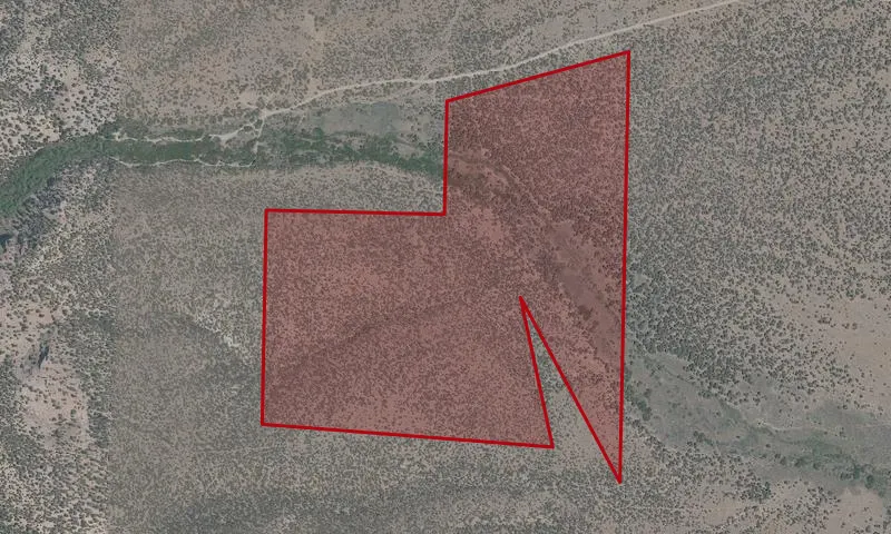 Alta T - East A Roadless Area
