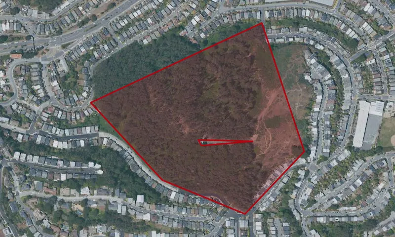 Mt. Davidson