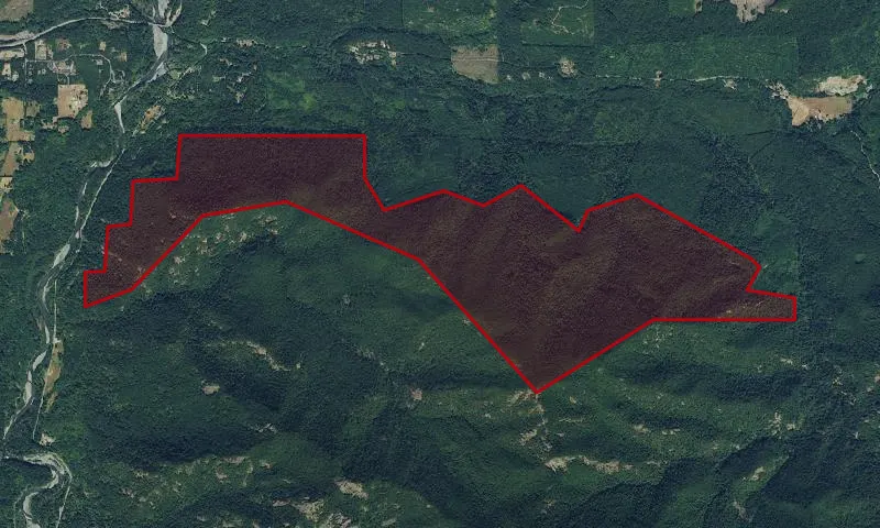Madison Creek Roadless Area