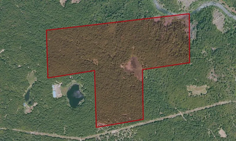 McClellan Mountain Peatland