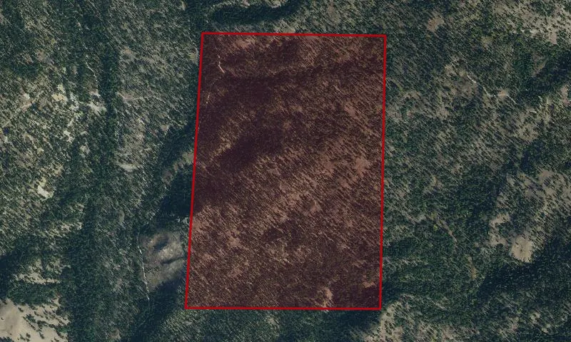 Salmon Method Cutting Plots Experimental Research Area