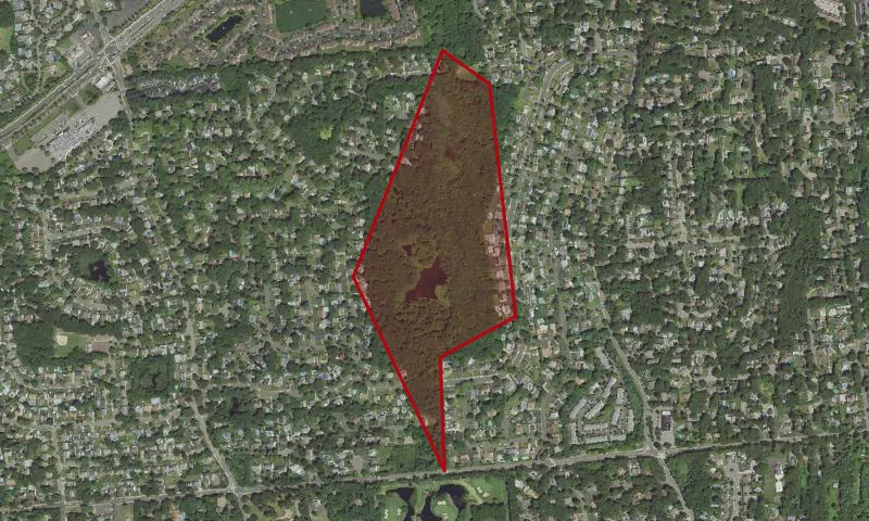 Munts Pond Preserve