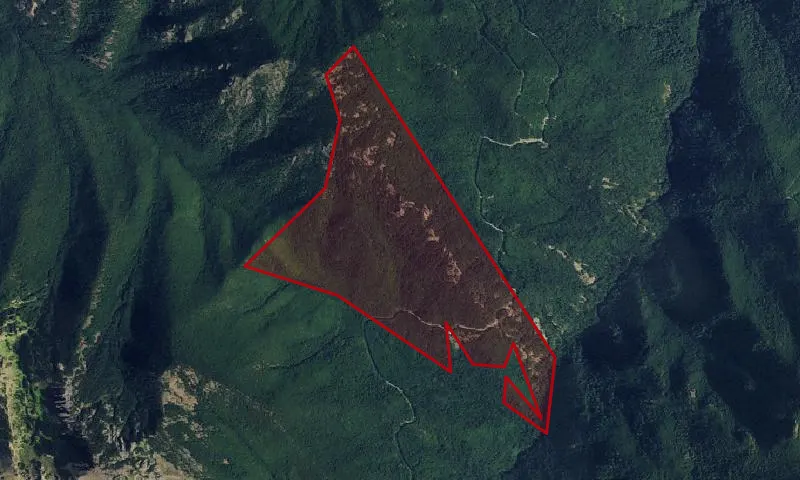 Three O'Clock Ridge Botanical Area