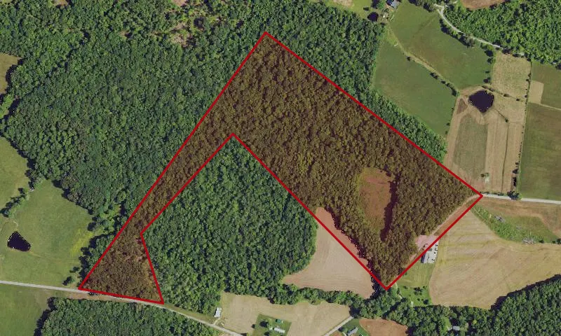 Hazeldell Meadow Preserve