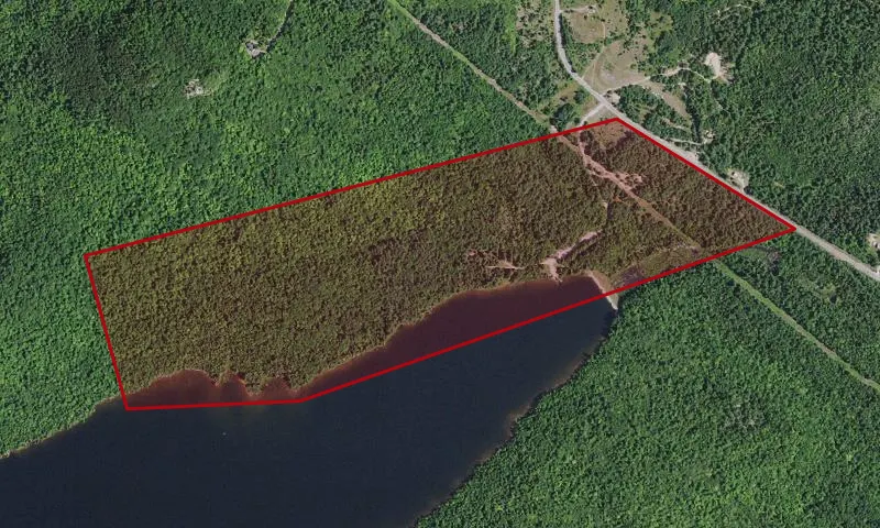 Taylor Pond Campground