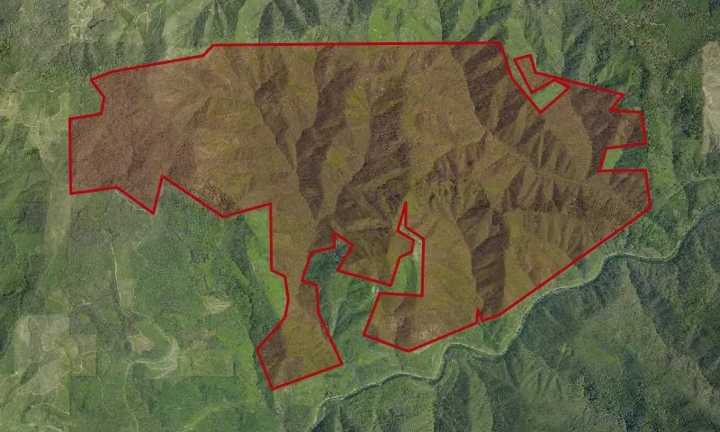 Williams Creek Roadless Area