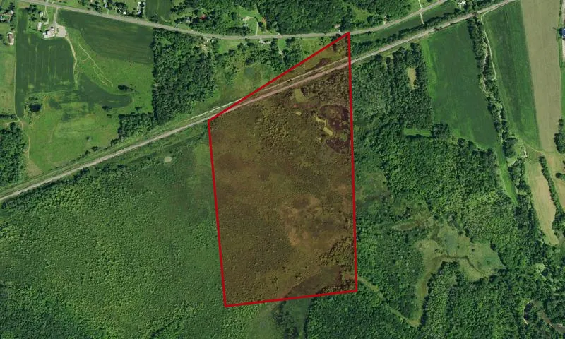 Hartson Swamp Wma