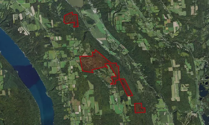 Spafford County Forest