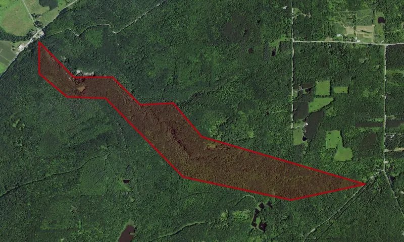 High Tor Wma - Parrish Gully