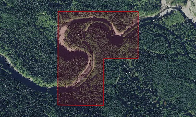 Wiley Creek Recreation Area