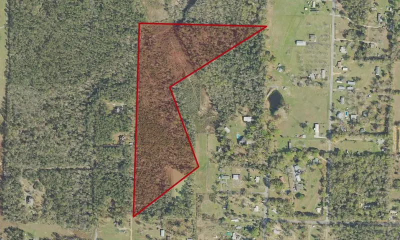 Cottage Hill State Forest