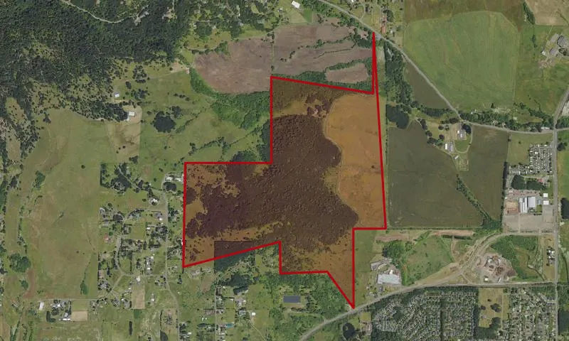 Bald Hill Natural Area