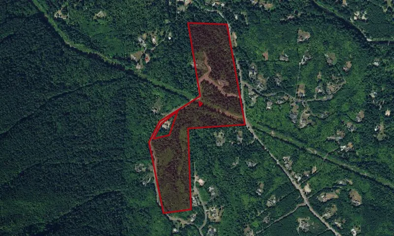 Uplands Forest