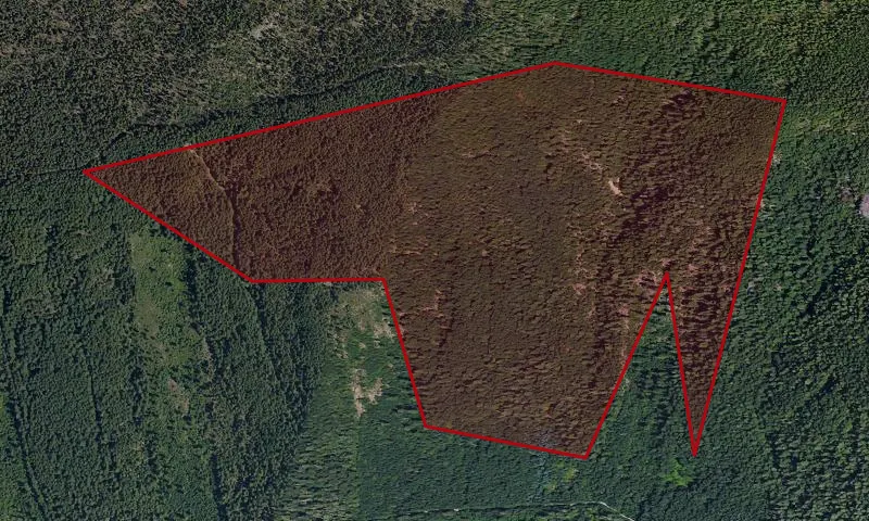Waldo - Koch Roadless Area