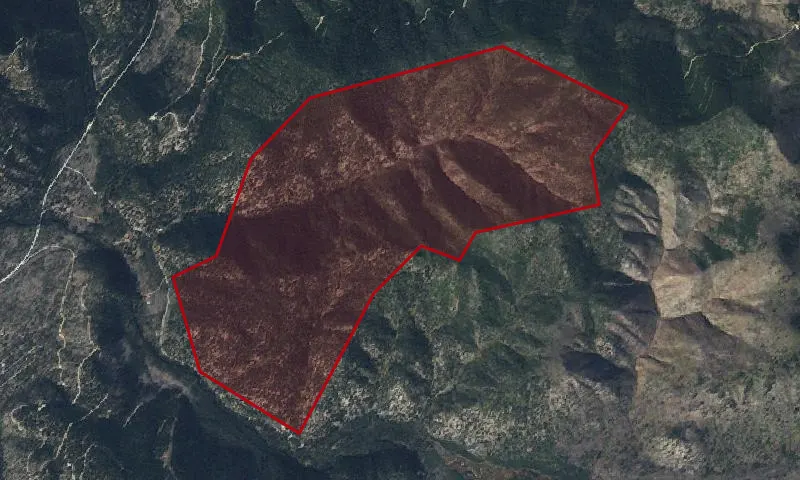 Needle Creek (01066) Roadless Area