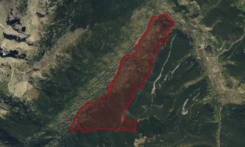 Homestake Roadless Area