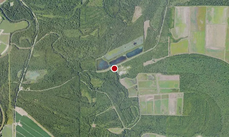 Morgan Brake National Wildlife Refuge