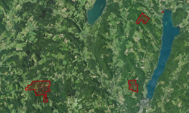 Suny Oneonta Biological Field Station