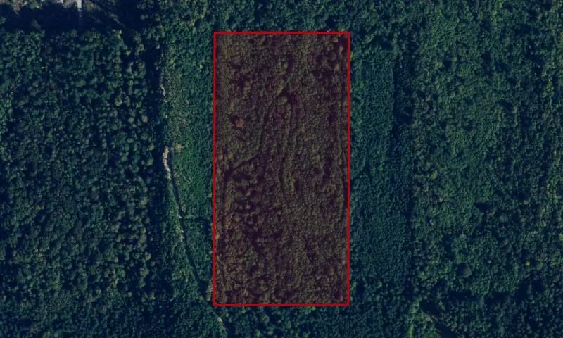 Galbraith (County)
