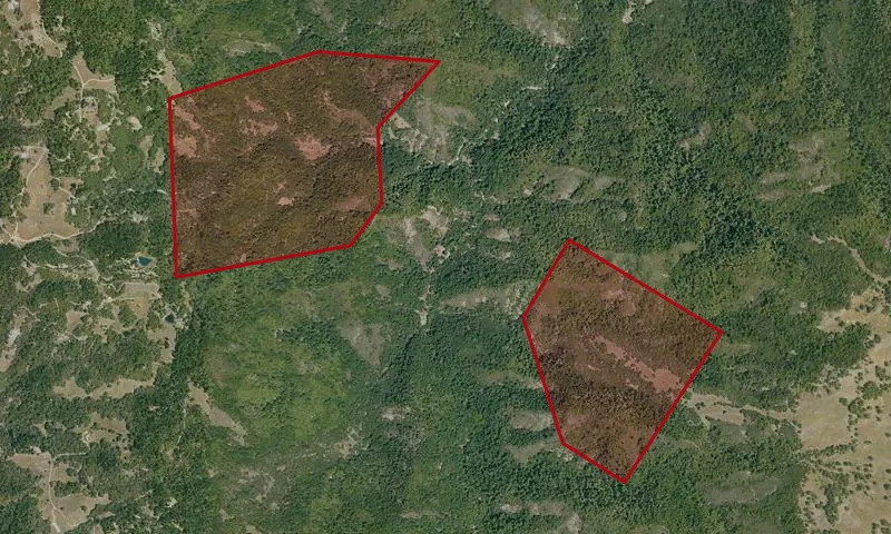 Woodman Creek Trib