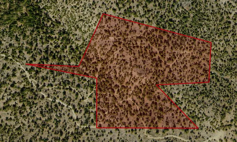 Cactus Springs A Roadless Area
