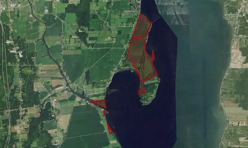 Kings Bay Wma