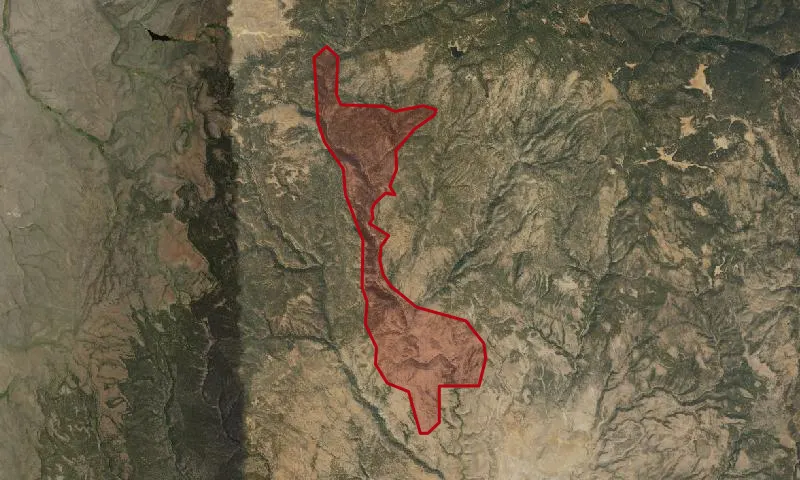 Silver Creek Roadless Area
