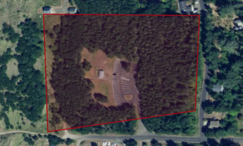 Pacific Pines