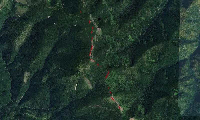 Gilt Edge-Silver Creek Roadless Area