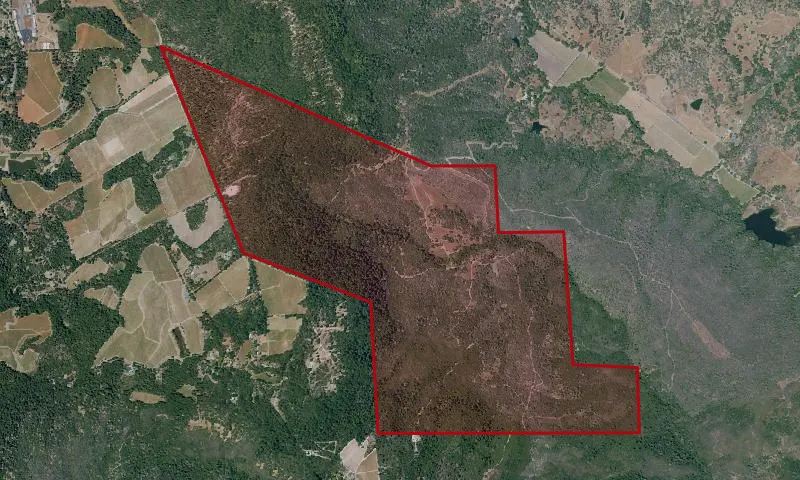 Las Posadas State Forest