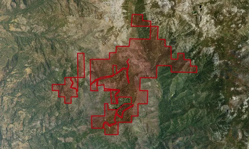 Mountain Home Demonstration State Forest
