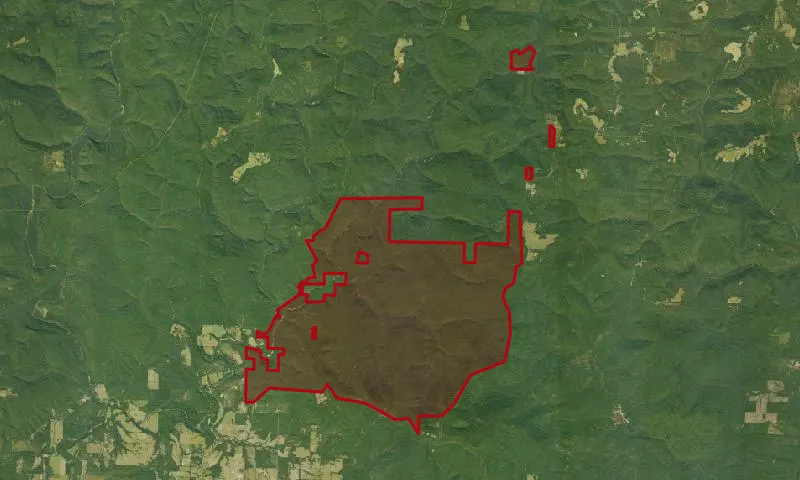 East Fork Roadless Area