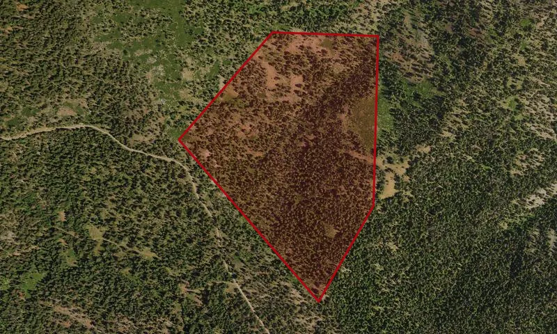 Cedar Grove Roadless Area