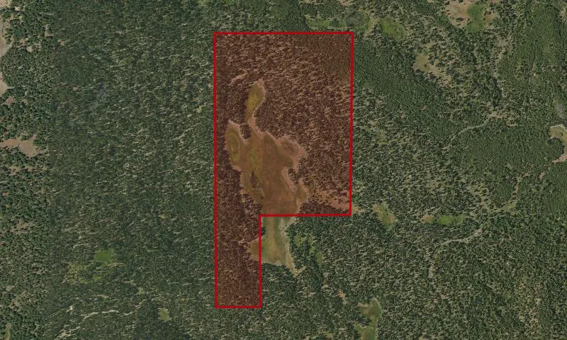 Big Swamp Recreation Area