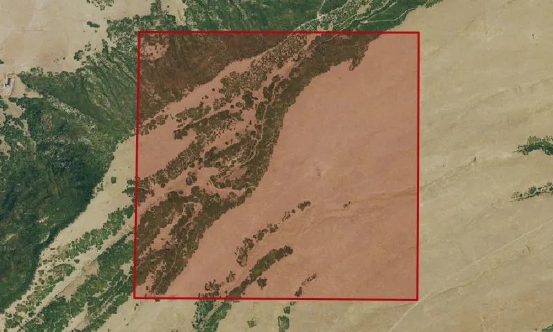 Bear Mesa