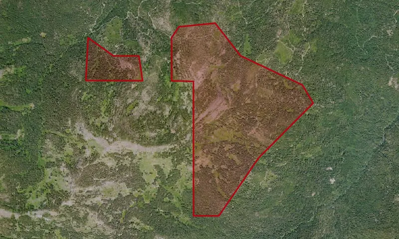 Box Camp Roadless Area