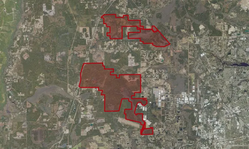 Cary State Forest