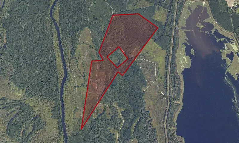 South Quay State Forest