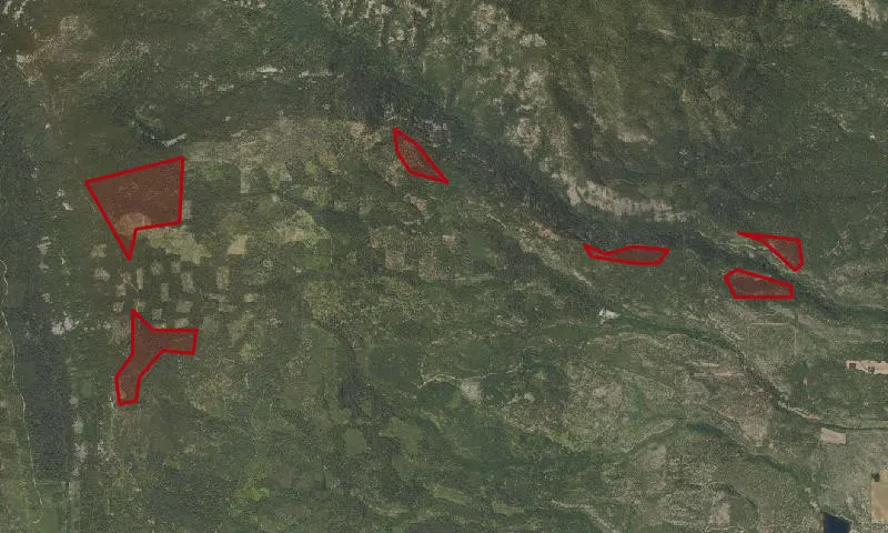 Badger Creek Roadless Area