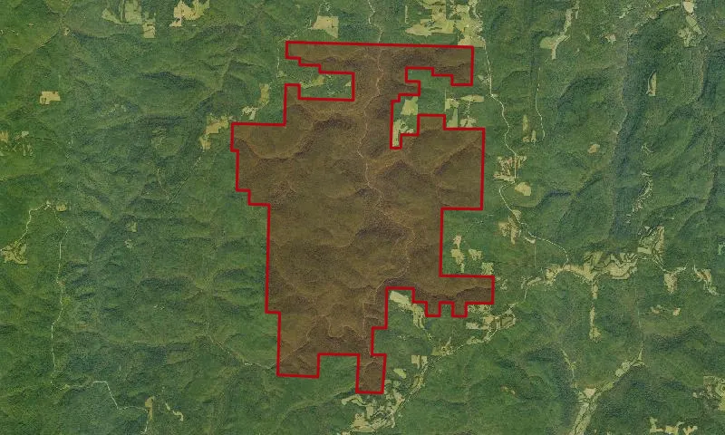 Upper Buffalo Wilderness