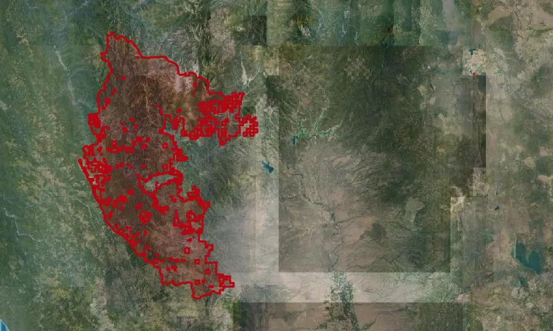 Trinity National Forest