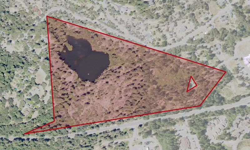 Hirschman's Pond