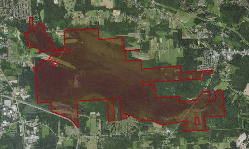 Cicero Swamp Wma