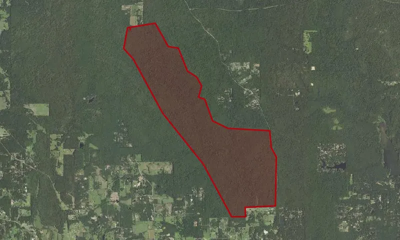 Little Lake Creek Wilderness
