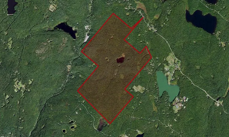 Hickok Brook Multiple Use Area